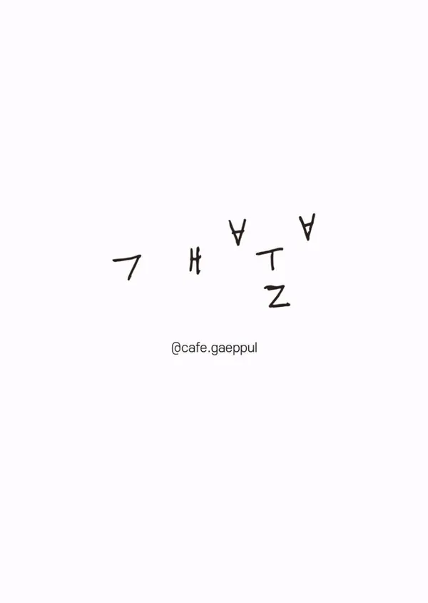 개뿔 사진 5