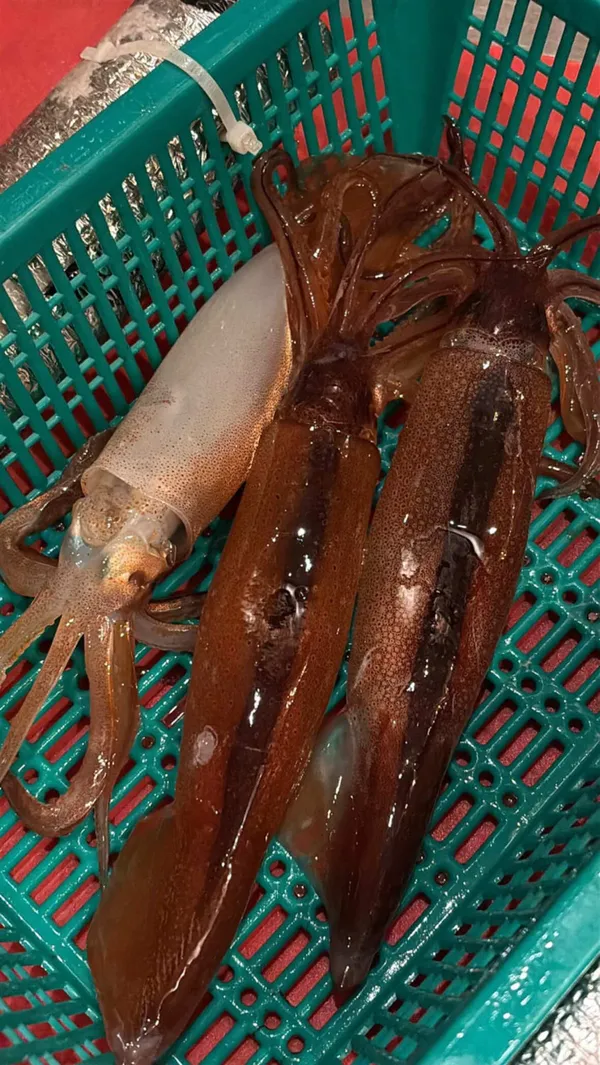 독도집 첨단점 사진 3