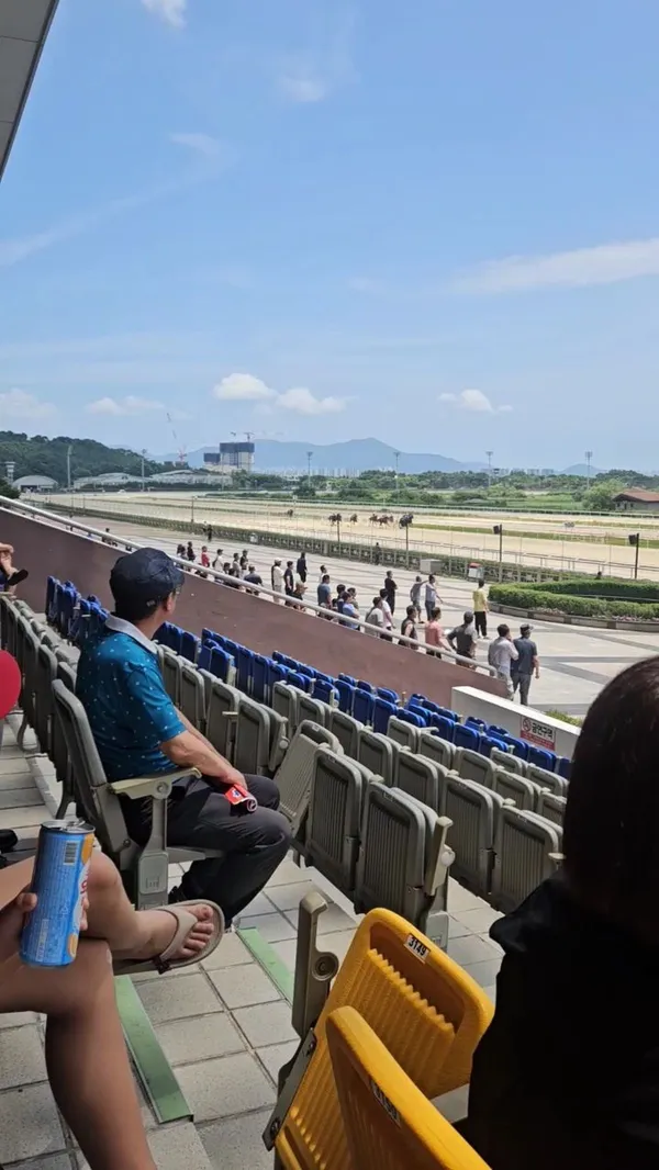렛츠런파크 부산경남 사진 5