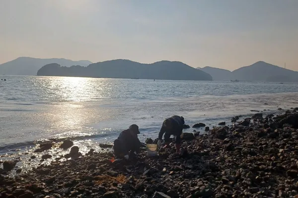 산달도 사진 2