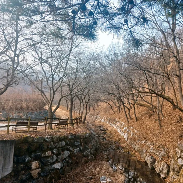 상당산성 자연휴양림 사진 2