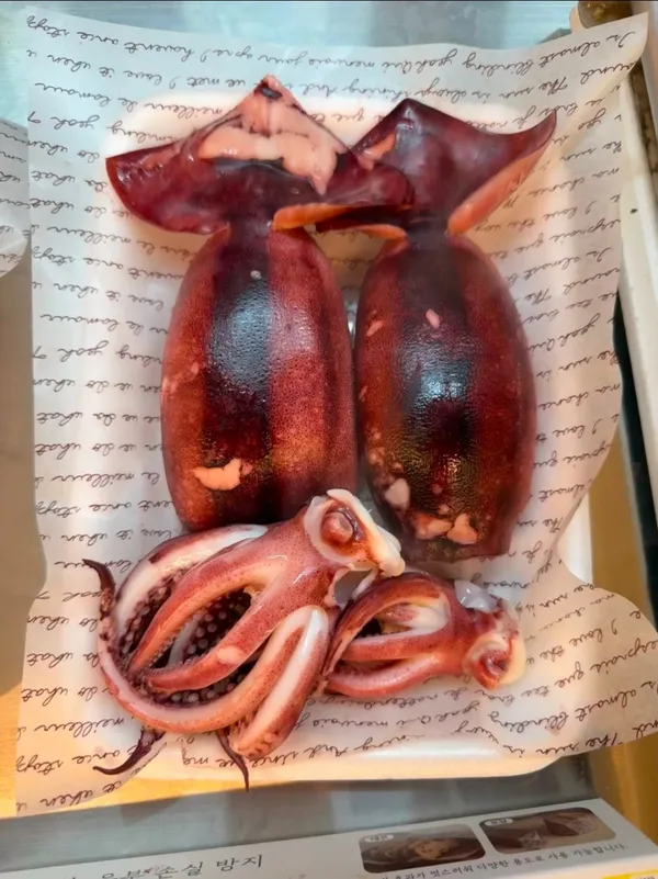 해녀와어부 사진 2