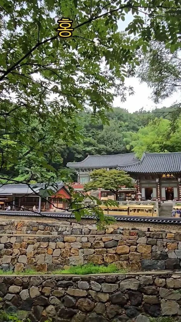홍룡사 사진 2