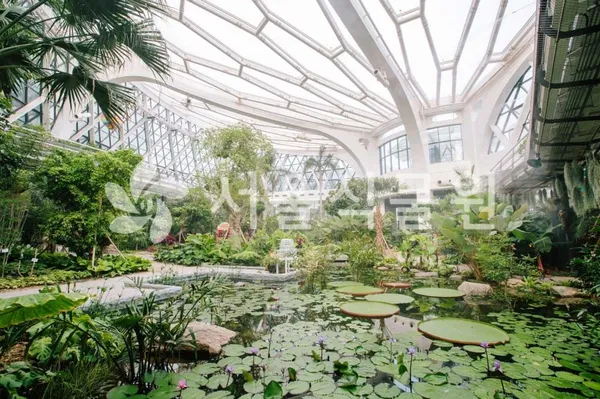 ソウル植物園の写真4