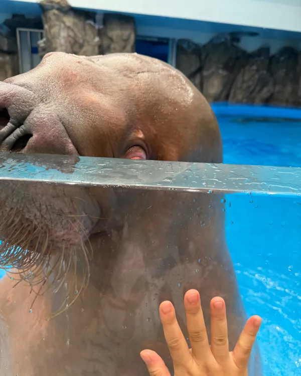 アクアプラネット イルサンの写真5