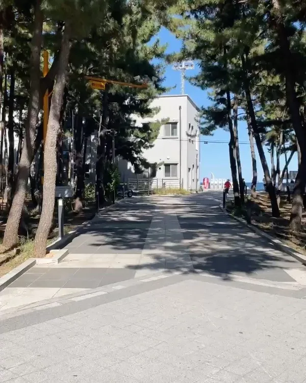 ソクチョ海水浴場の写真2
