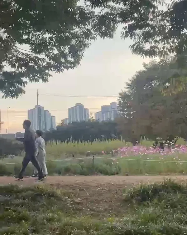 ミサギョンジョン公園の写真4