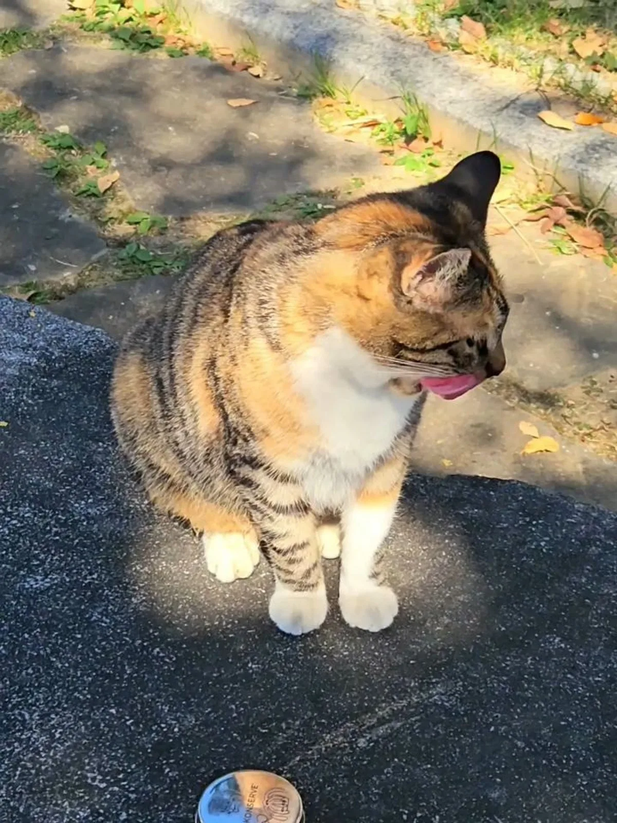 キョンポセンテジョリュジのメイン写真