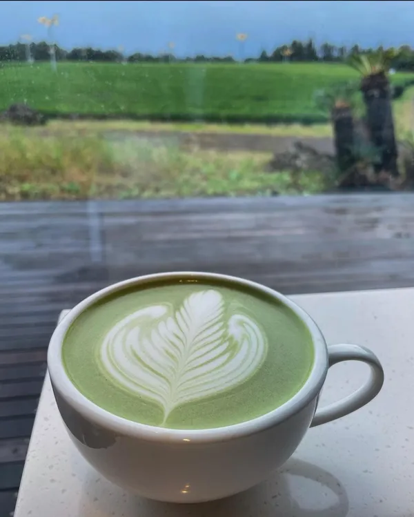 수망다원