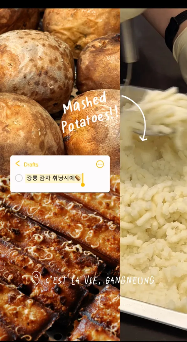 쎄라비 사진 5