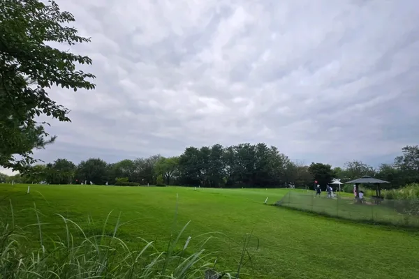 Noeul Park, photo 3