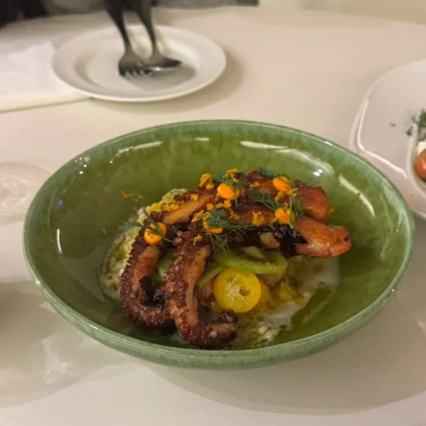 사비아 사진 5