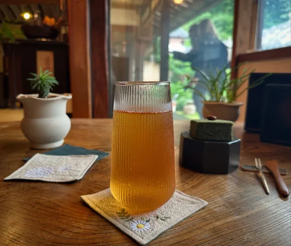 교동다원 사진 4