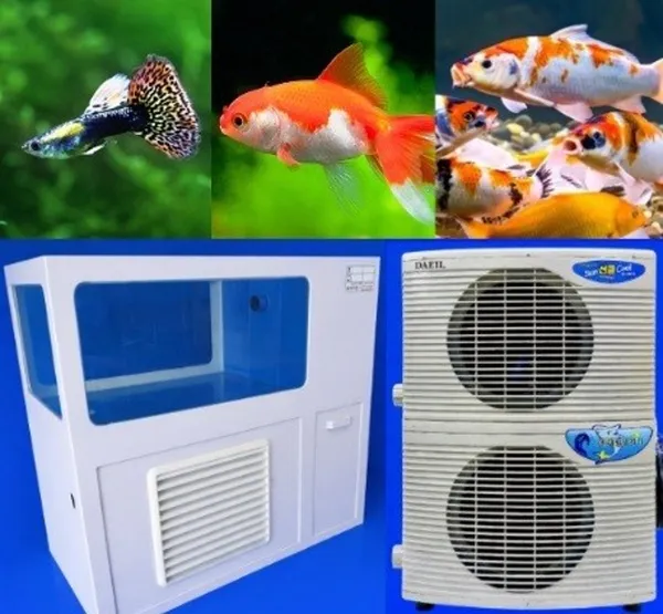 88 Aquarium, photo 4