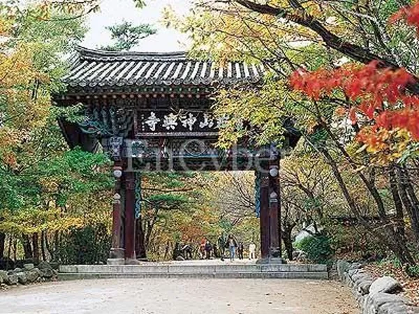 신흥사
