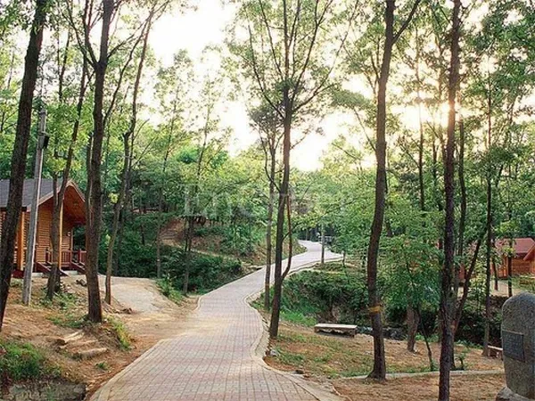 영인산자연휴양림