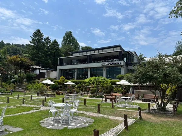 Gomori691, photo 3