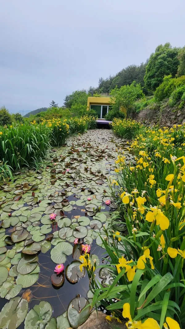 섬이정원 사진 2