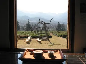 매암제다원