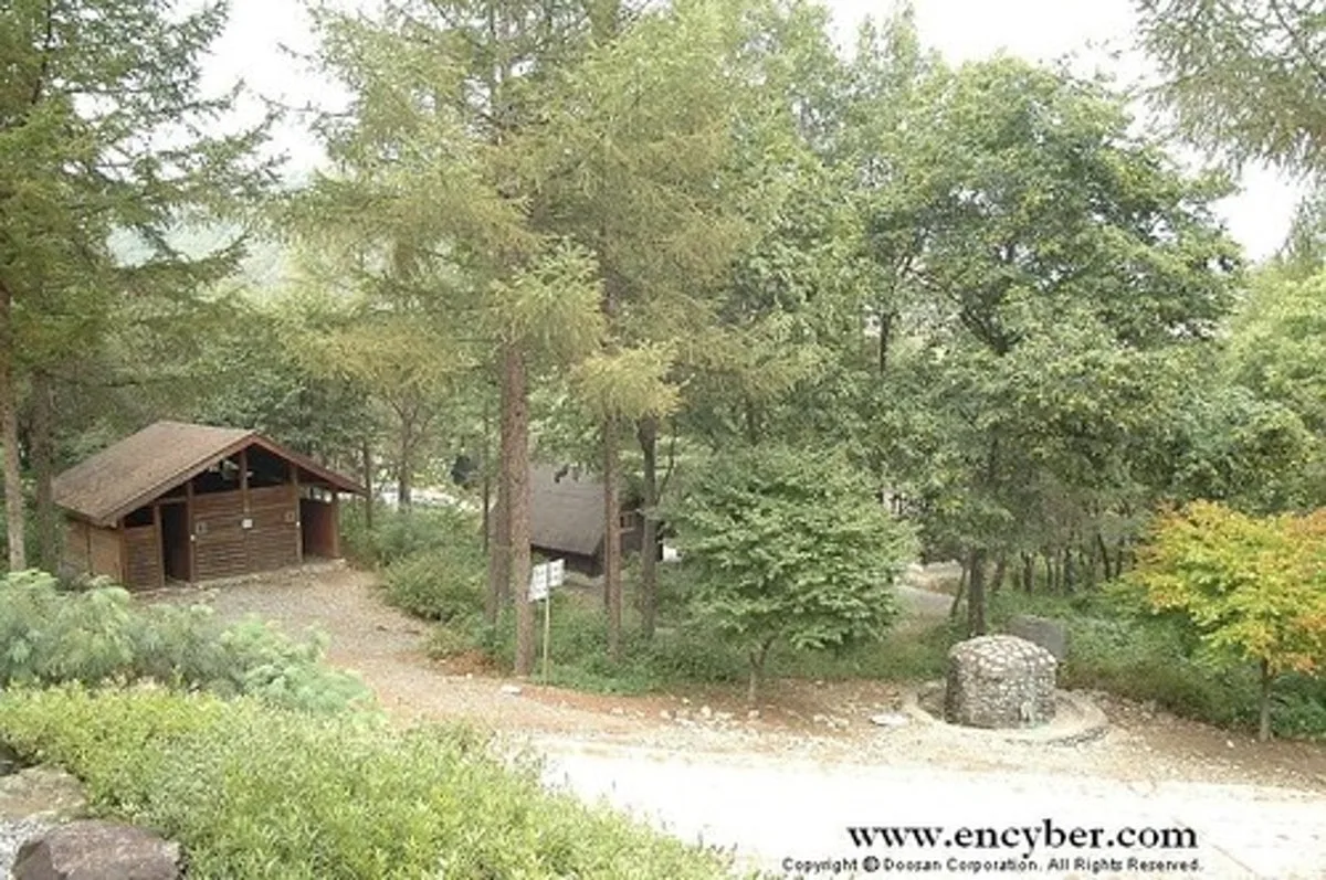 봉황자연휴양림, main photo