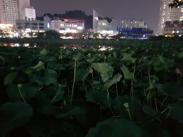 광주 서구 관광공사 추천 6곳