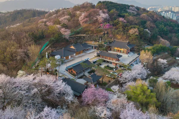 동작 관광공사 추천 6곳