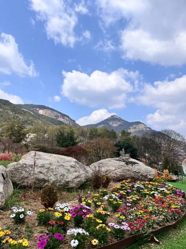 산들소리 사진 2