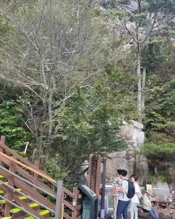 미륵산 사진 5
