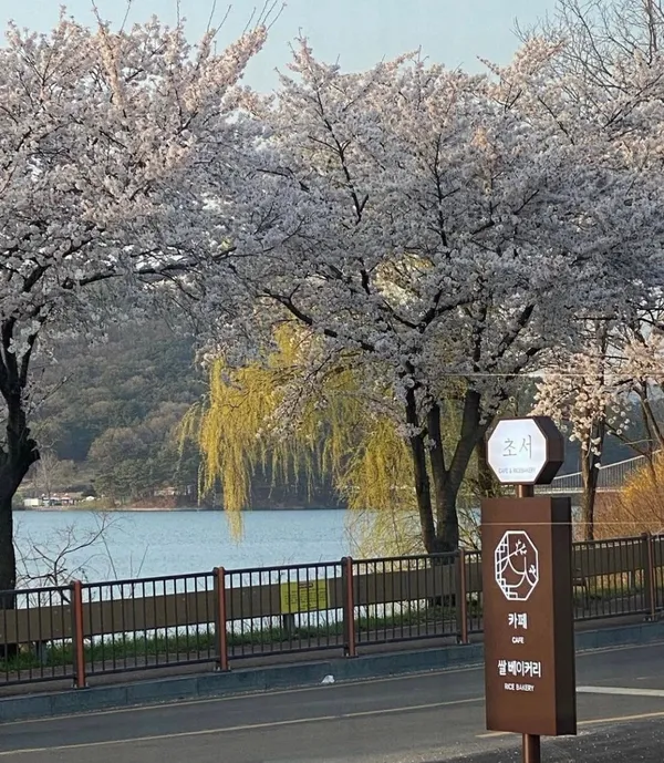 초서 사진 3