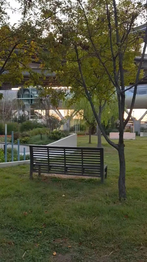 Ttukseom Hangang Park, photo 4