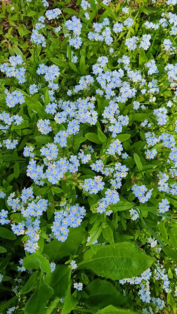 섬이정원 사진 4