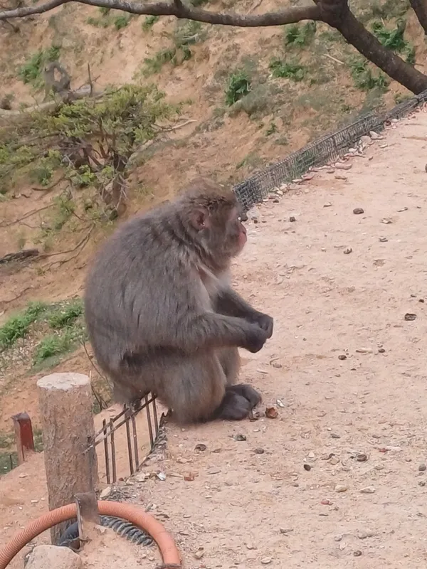 보광사 사진 2