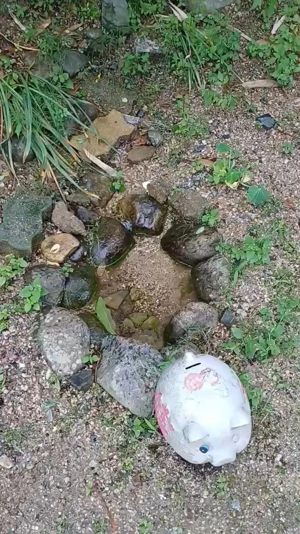 보광사 사진 3