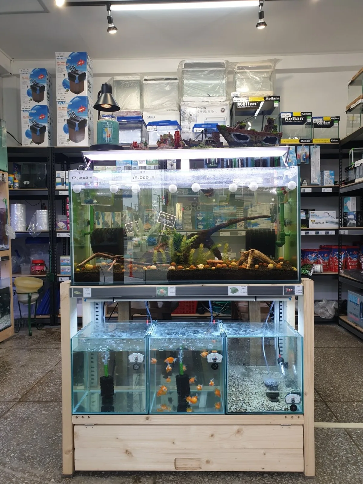 88 Aquarium, main photo