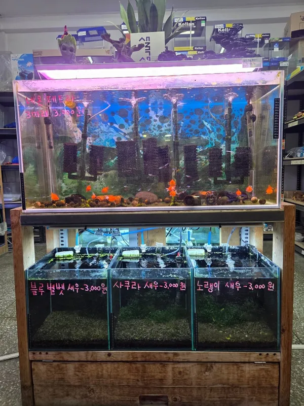 88 Aquarium, photo 2