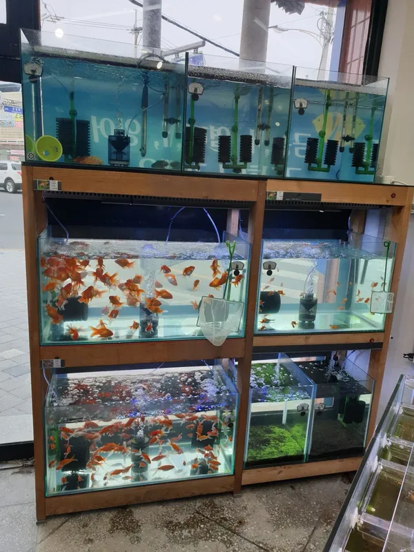 88 Aquarium, photo 3