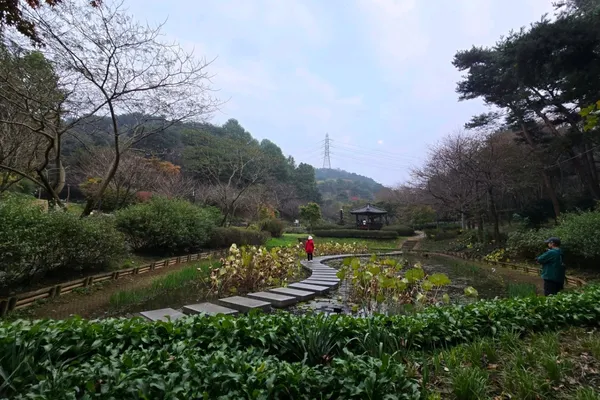 삼선산수목원 사진 2