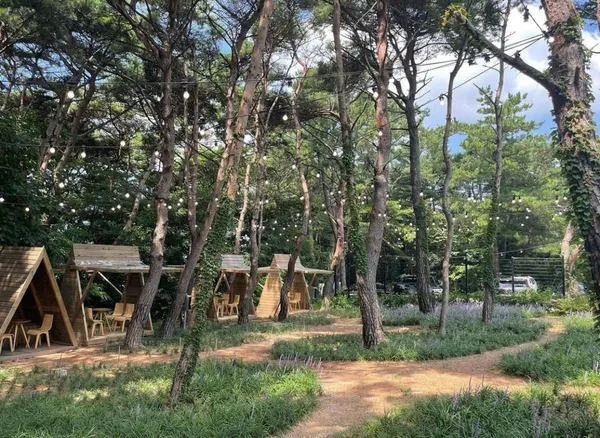 카페모월 사진 2