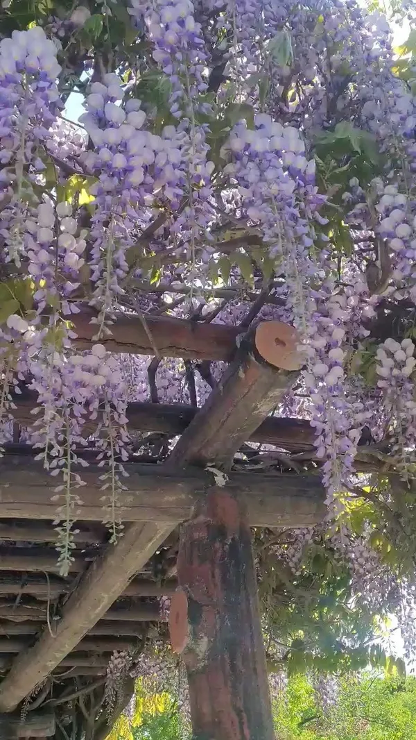 삽교호 함상공원 사진 4