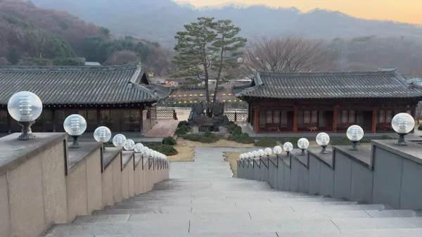 단궁 사진 3