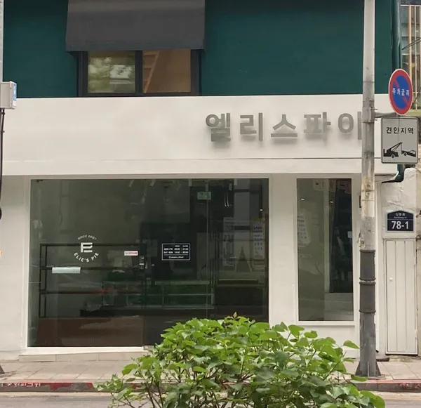 엘리스파이 광화문점