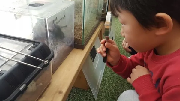 센트럴곤충생태농장 사진 2
