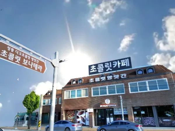 보나테라 사진 5