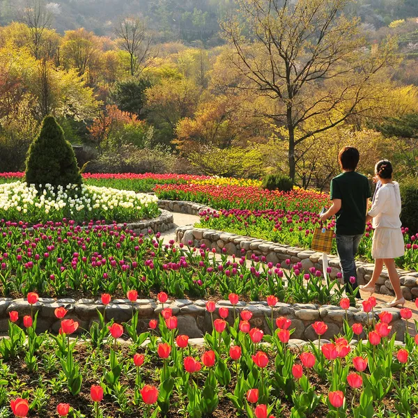 Goun Botanical Garden, photo 2
