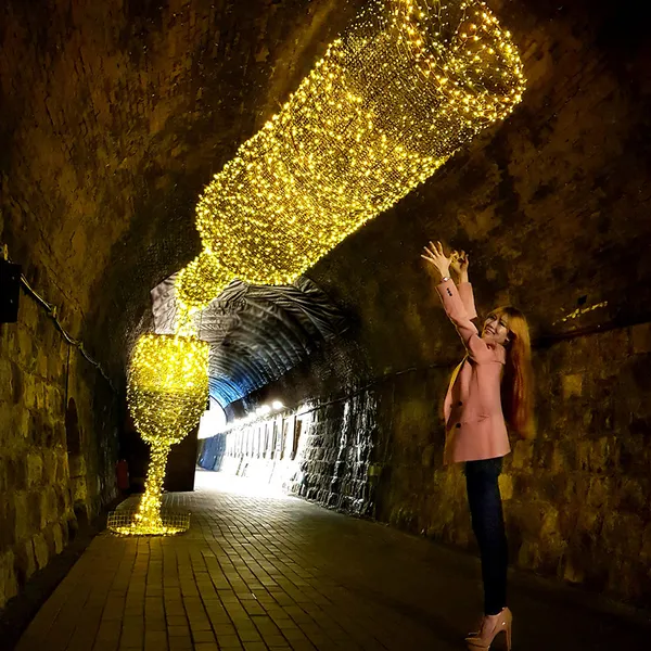 Wine Tunnel, photo 2