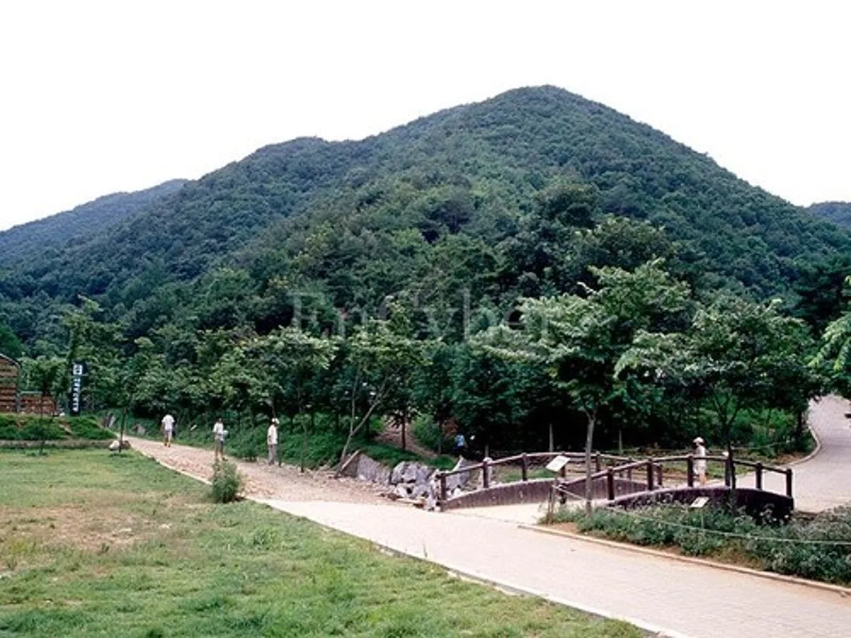 칠갑산자연휴양림 대표 사진