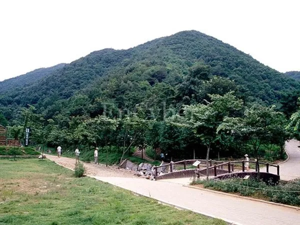 칠갑산자연휴양림