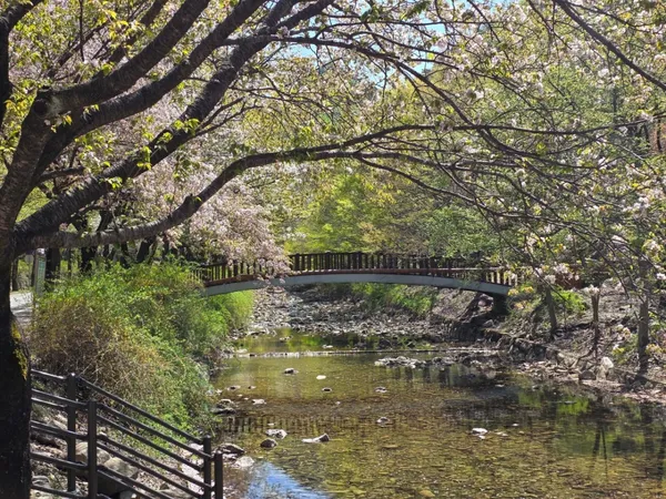 Gosan Natural Recreation Forest
