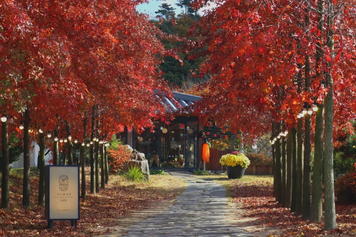 Saneure Jeongwon, main photo