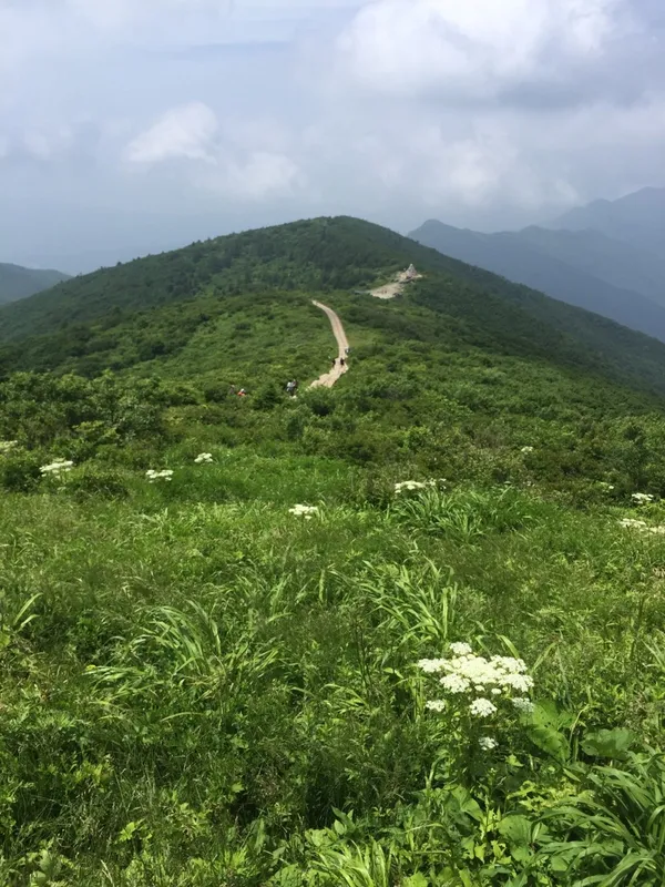 노고단 사진 2